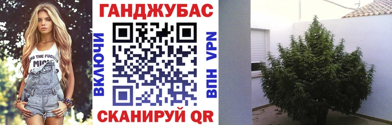 Бошки марихуана ГИДРОПОН Будённовск